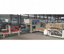 魯泰機械自動裝箱系統(tǒng)